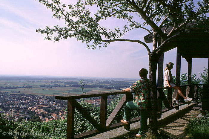 Blick auf Zwingenberg