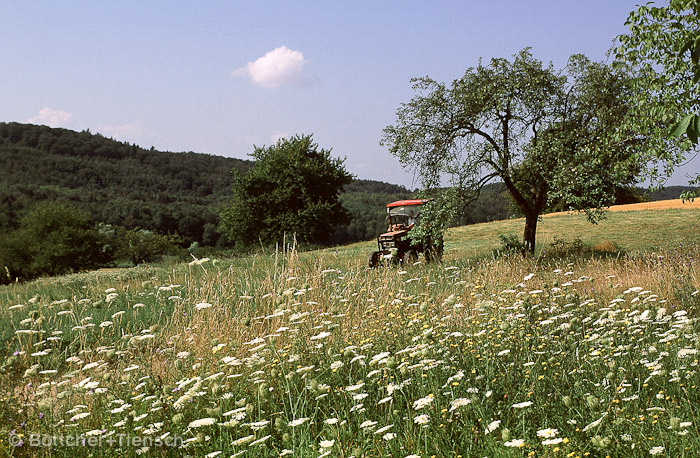 Kraichgau