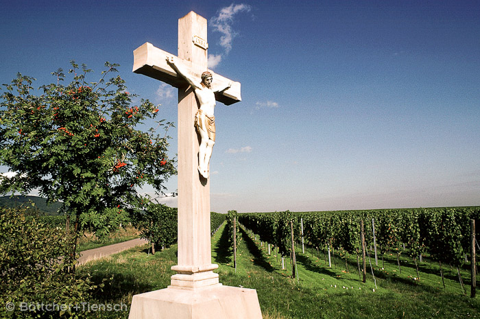 Kruzifix am Weinberg