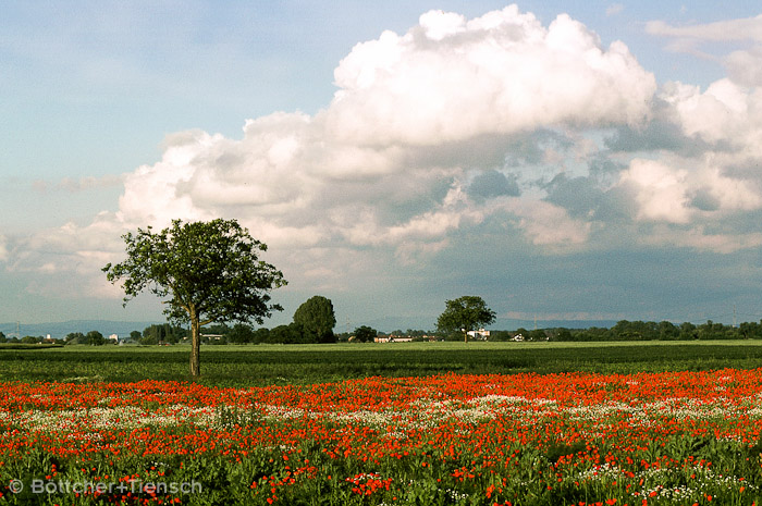 Landschaft