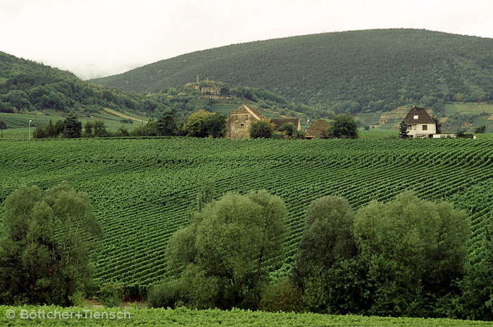 Landschaft