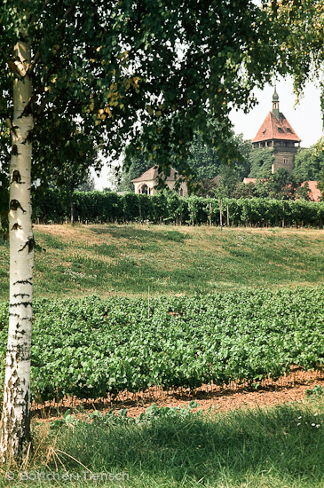 Geilsweiler Hof