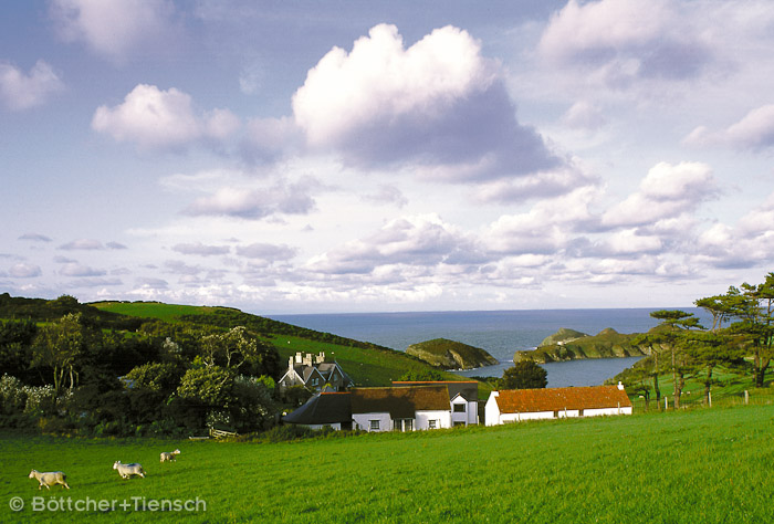 Combe Martin Bay